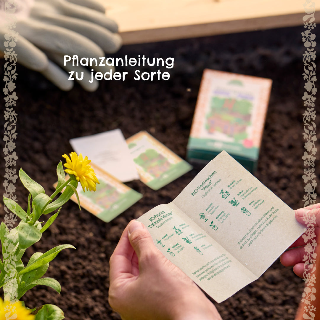BIO-Saatgut-Set "Balkongemüse" 