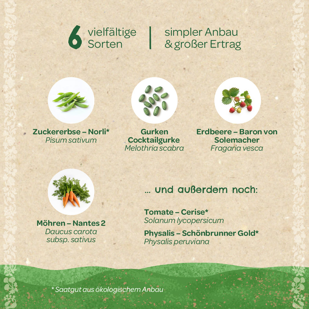 BIO-Saatgut-Set "Naschgarten" 