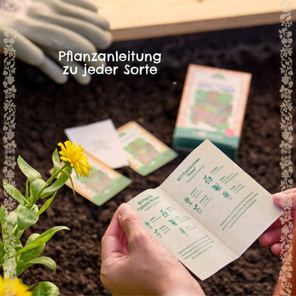 BIO-Saatgut-Set "Naschgarten" 