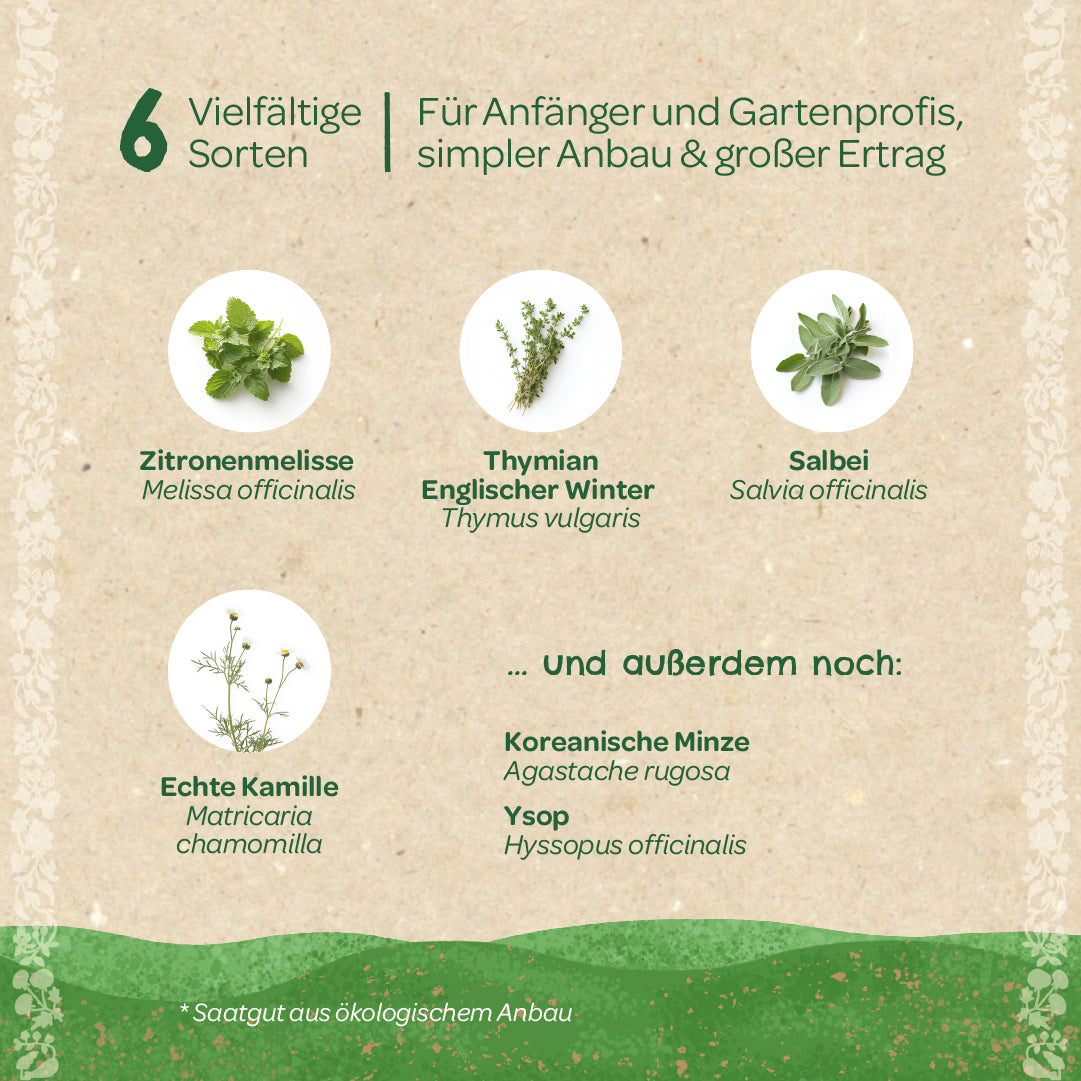 BIO-Saatgut-Set "Teekräuter" 