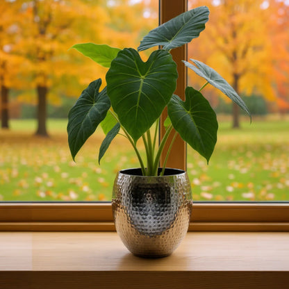 Übertopf Blumentopfe Silber Pflanztopf Deko 2er Set glänzend rund 