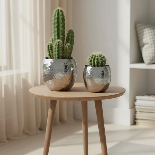 Übertopf Blumentopfe Silber Pflanztopf Deko 2er Set glänzend rund 