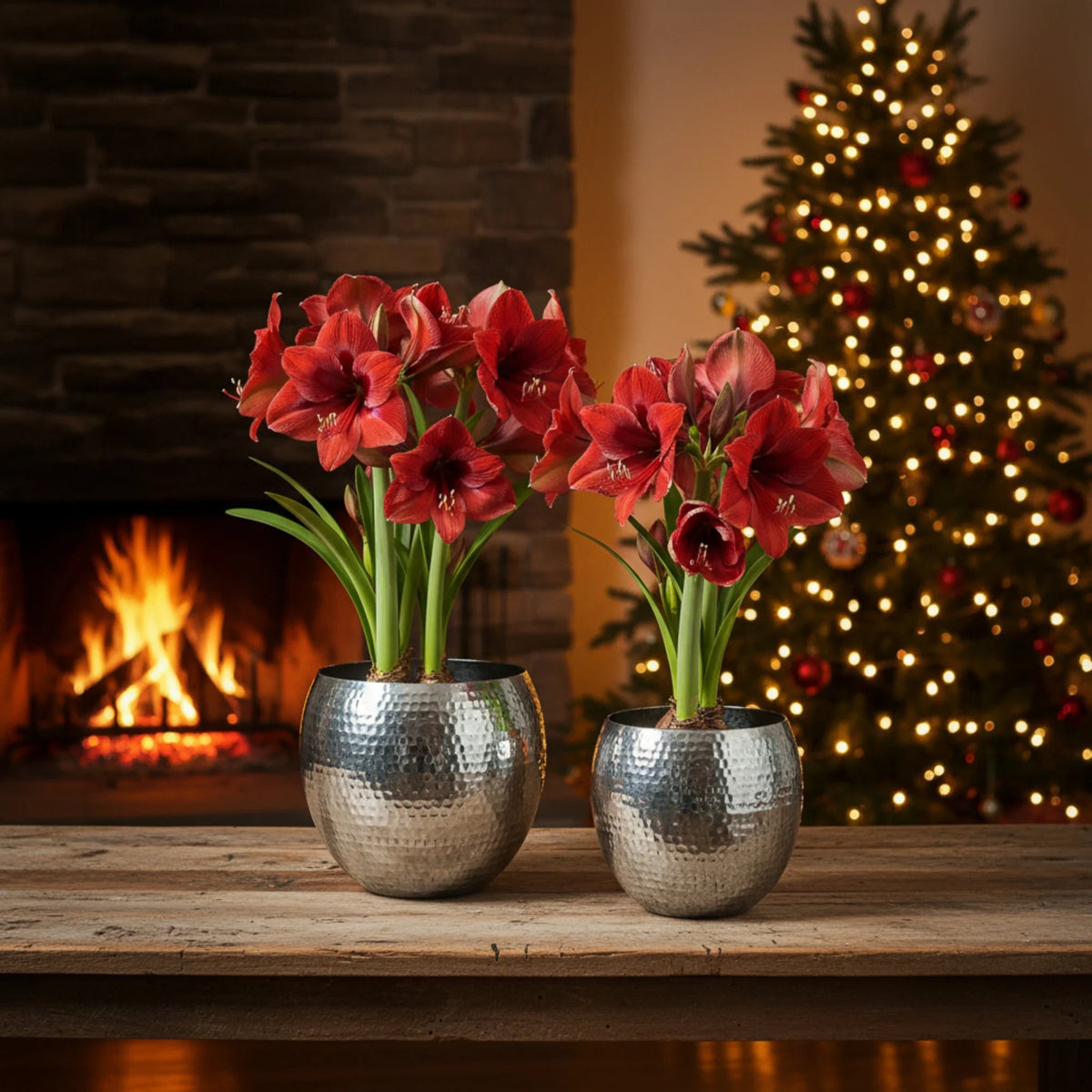 Übertopf Blumentopfe Silber Pflanztopf Deko 2er Set glänzend rund 