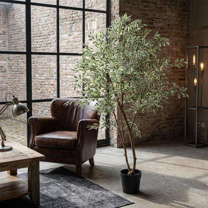 Ficus Benjamina Variegata Kunstpflanze 185cm – Große Buntlaub Birkenfeige Deko Pflanze – Pflegefreie Zimmerpflanze für Wohnzimmer Büro & Empfangsbereich