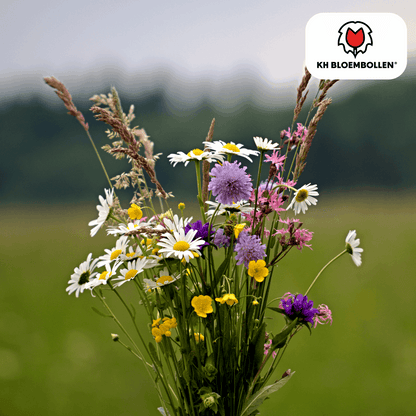Wildblumensamen – 100g für 30–50m² – Bienen- & Schmetterlingsfreundlich – Einjährige & mehrjährige Blumen – Für Garten, Wiese, Beet – GVO-frei & nachhaltig 