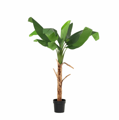 Bananenpflanze Musa Kunstpflanze 150cm – Tropische Deko Pflanze – Pflegefreie Kunstpalme für Wohnzimmer Büro & Empfangsbereich