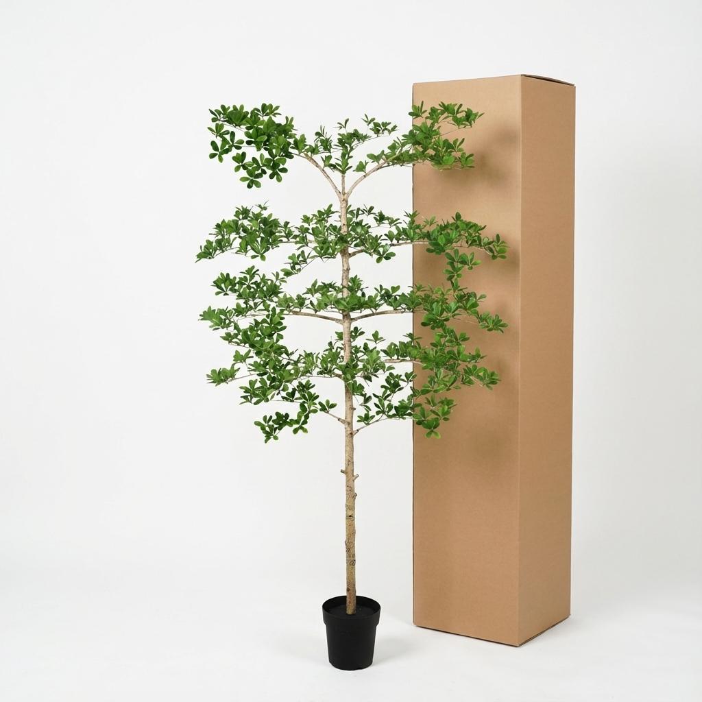 Bucida Kunstpflanze 200cm – Große Designer Deko Baum Pflanze – Pflegefreie Zimmerpflanze für Wohnzimmer Büro & Empfangsbereich - Oasis of Life