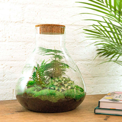 Flaschengarten Sam XL – DIY Bausatz Terrarium – ↕35cm – Do-It-Yourself Pflanzen-Set mit Korkdeckel – Autarkes Mini-Ökosystem – Inkl. Fittonia, Farn, Spargel & Moos – Für Zuhause & Büro 