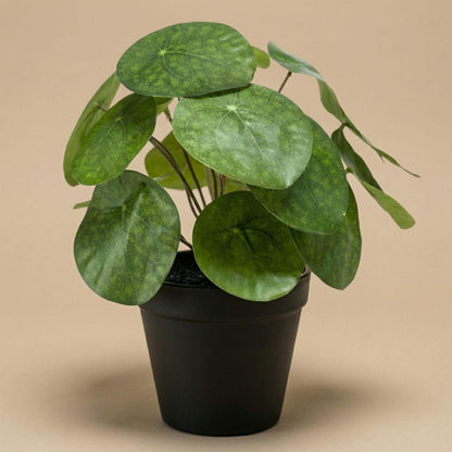 Pilea Kunstpflanze Busch – ca.25cm – Im schwarzen Topf – Realistische künstliche Zimmerpflanze – Pflegefreie Deko für Fensterbank Regal & Büro - Oasis of Life