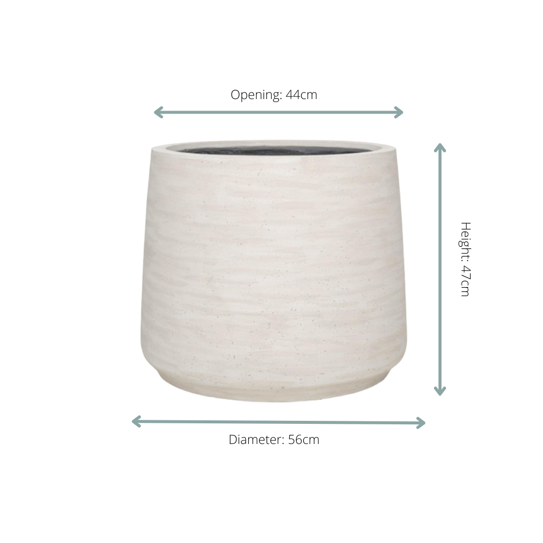 Jumbo Patt Ivory Washed - D56xH47 