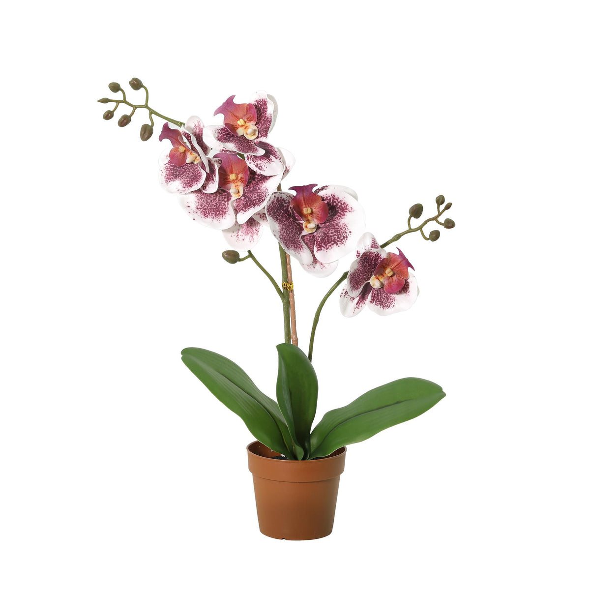 ARTIFICIAL Phalaenopsis orchid violet white - 41cm 