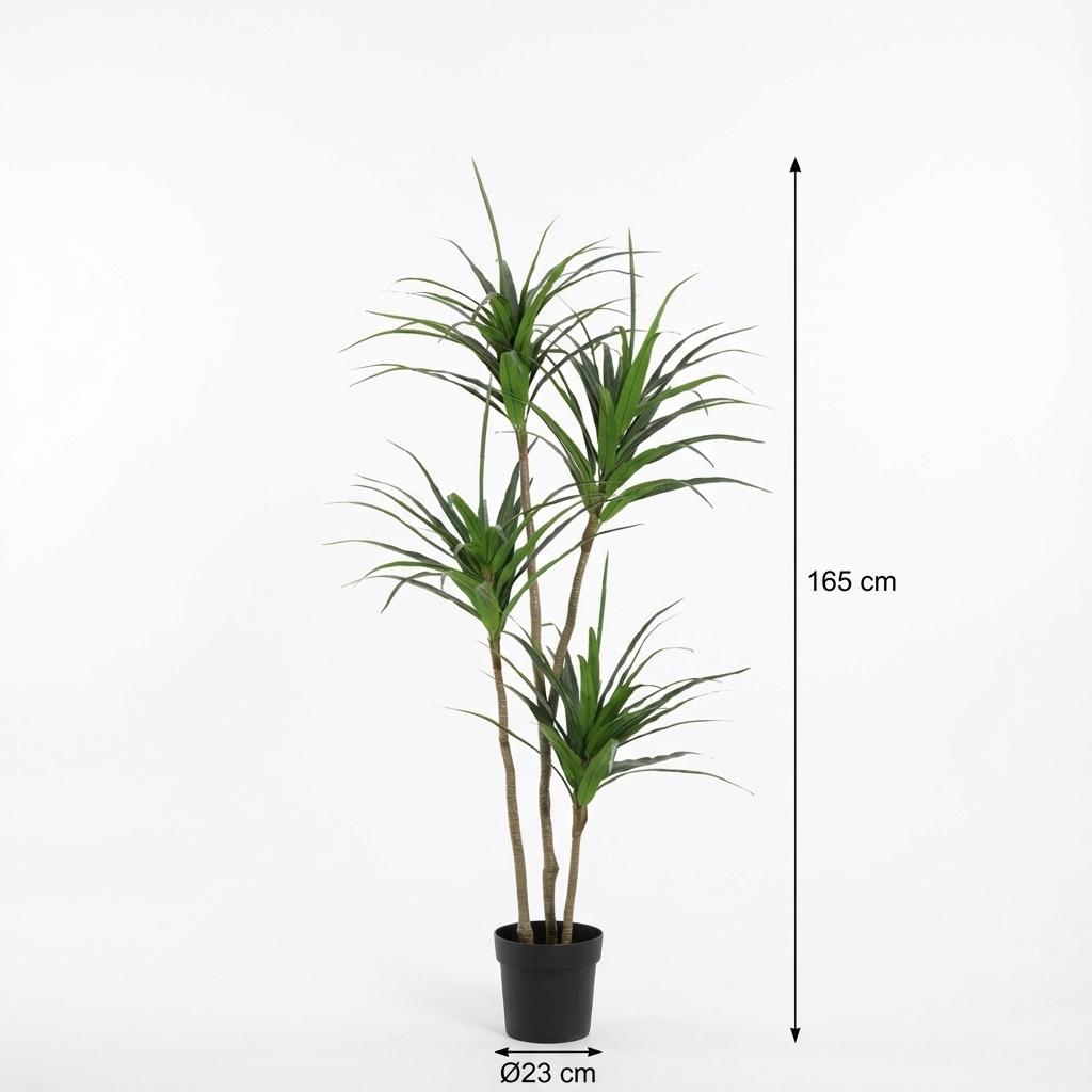 Dracaena Kunstpflanze 165cm – Große Drachenbaum Deko Pflanze – Pflegefreie Zimmerpflanze für Wohnzimmer Büro & Empfangsbereich - Oasis of Life