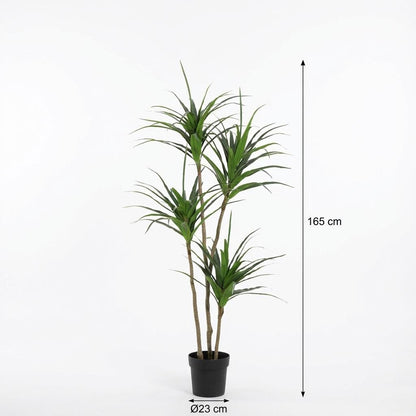 Dracaena Kunstpflanze 165cm – Große Drachenbaum Deko Pflanze – Pflegefreie Zimmerpflanze für Wohnzimmer Büro & Empfangsbereich - Oasis of Life