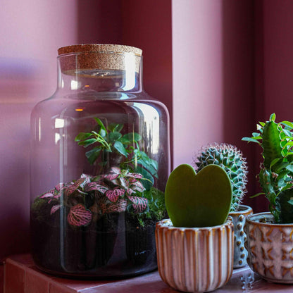 'LOVE MOM' Terrarium Little Milky + gravierter Kork mit Licht - Flaschengarten DIY Set - Ø 17 cm ↑ 25 cm - Muttertag 