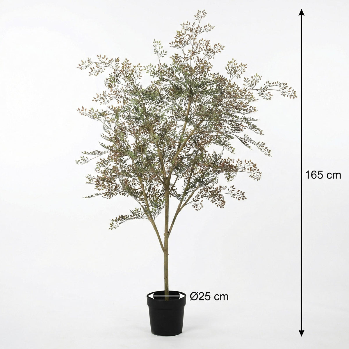 ARTIFICIAL Bucida - 165cm 