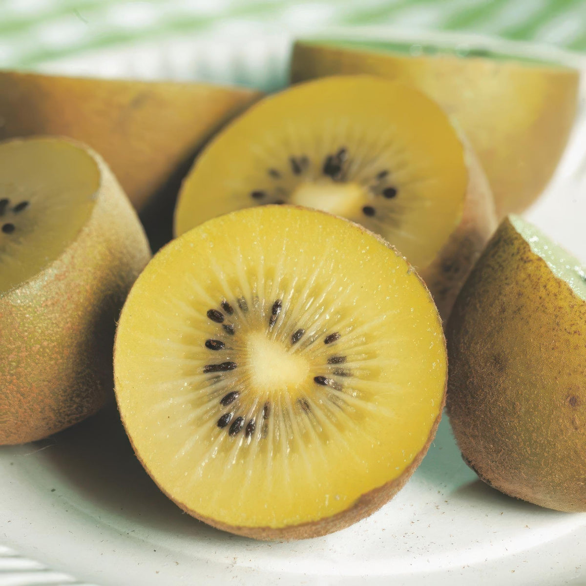Actinidia deliciosa Golden Kiwi – 2 Obstpflanzen – Süße gelbe Früchte – Ø15cm Höhe 50cm – Einfach zu pflegen & vitaminreich 