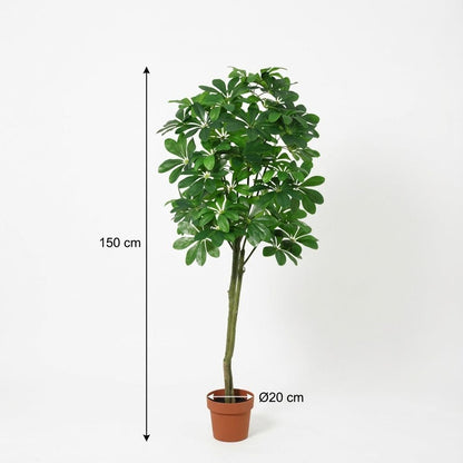 Pachira Aquatica Kunstpflanze 150cm – Große künstliche Glückskastanie – Realistische Deko Pflanze für Wohnzimmer Büro & Empfangsbereich - Oasis of Life