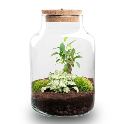 Flaschengarten DIY Bausatz – Terrarium Little Milky mit LED-Kork – Ø17cm x H25cm – Selbstversorgendes Mini-Ökosystem – Inkl. Moos, Pflanzen & Anleitung 