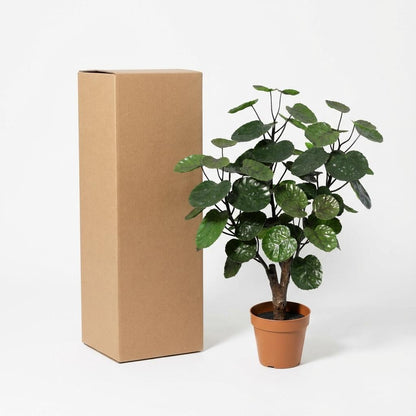 Polyscias Fabian Kunstpflanze 55cm – Dekorative Aralie Deko Pflanze – Pflegefreie Zimmerpflanze für Wohnzimmer Büro & Regal - Oasis of Life