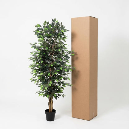 Ficus Benjamina Kunstpflanze 180cm Pflegefreie Zimmerpflanze für Wohnzimmer Büro & Empfangsbereich