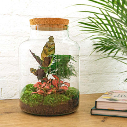 Flaschengarten Milky – DIY Bausatz Terrarium – ↕30cm – Do-It-Yourself Pflanzen-Set im Glas mit Korkdeckel – Autarkes Mini-Ökosystem – Inkl. Calathea, Fittonia, Spargel & Moos – Für Zuhause & Büro 