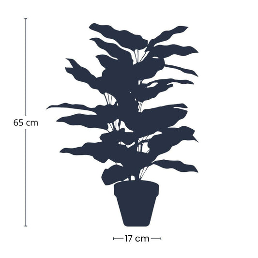 Calathea – Kunstpflanze – 65cm hoch – Ø17cm – Naturgetreue Blätter in Grüntönen – Pflegefrei – Für Wohnzimmer, Büro & Flur 