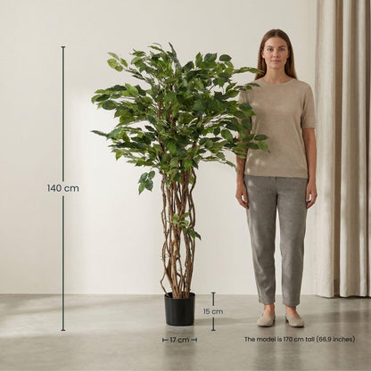 Ficus Liana Kunstbaum – 140cm – Hochwertige künstliche Pflanze mit realistischer Blattstruktur – Pflegefreier Deko Baum für Wohnzimmer Büro & Empfangsbereich - Oasis of Life