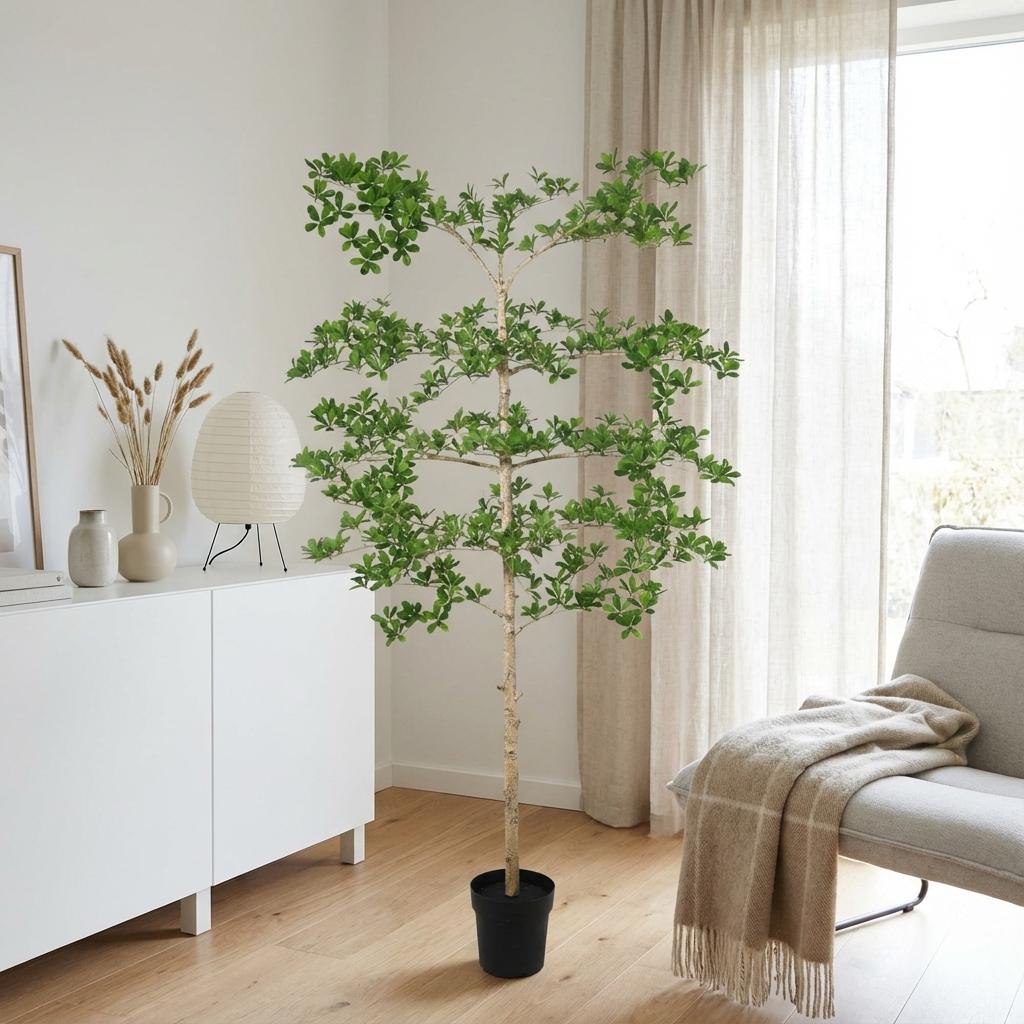 Bucida Kunstpflanze 200cm – Große Designer Deko Baum Pflanze – Pflegefreie Zimmerpflanze für Wohnzimmer Büro & Empfangsbereich - Oasis of Life