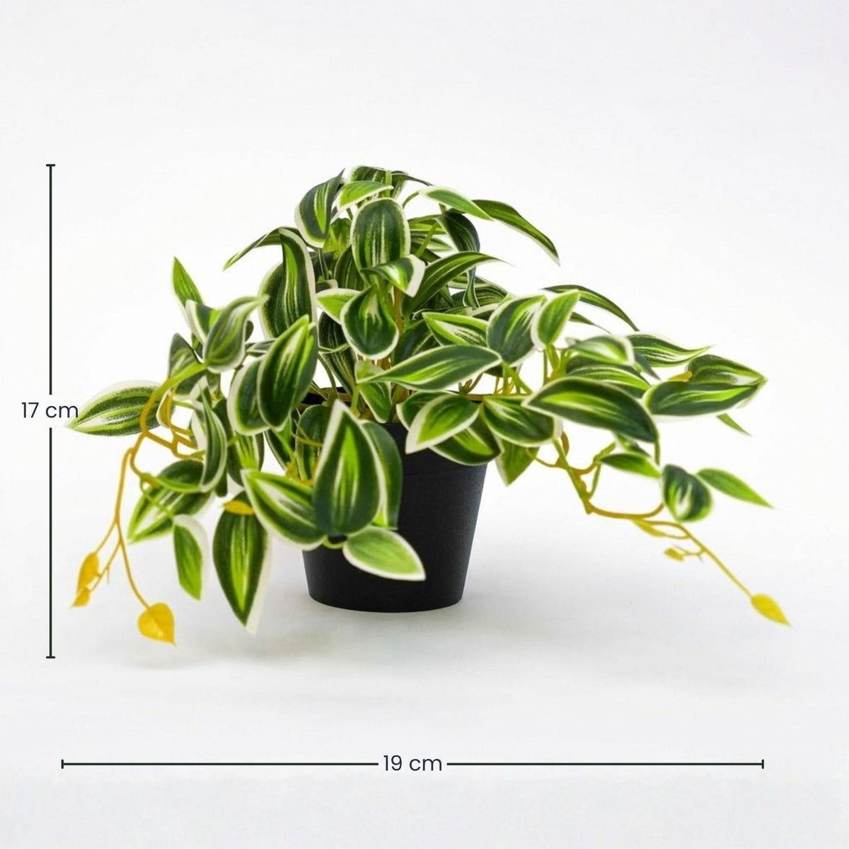 Tradescantia Grün/Weiß im Topf - 19 cm - Kunstpflanze 