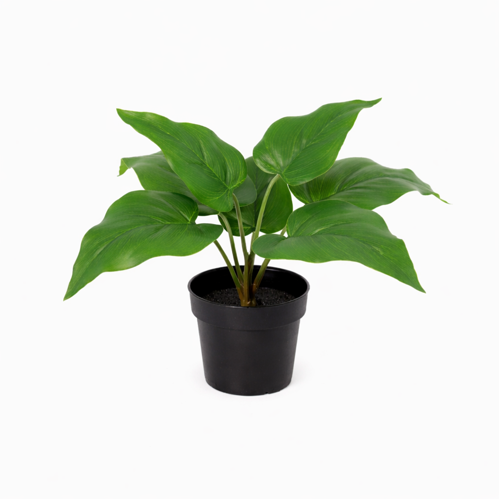 ARTIFICIAL Philodendron Imperial Green - 25cm 
