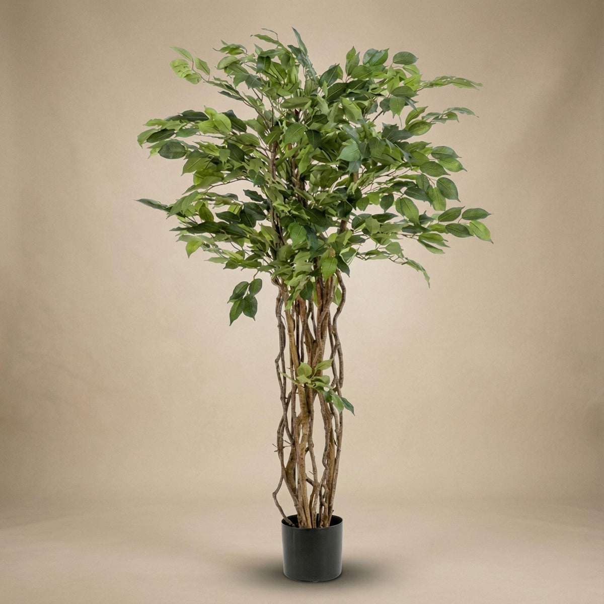 Ficus Liana Kunstbaum – 140cm – Hochwertige künstliche Pflanze mit realistischer Blattstruktur – Pflegefreier Deko Baum für Wohnzimmer Büro & Empfangsbereich - Oasis of Life