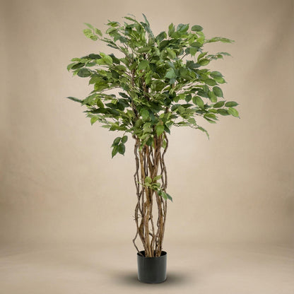 Ficus Liana Kunstbaum – 140cm – Hochwertige künstliche Pflanze mit realistischer Blattstruktur – Pflegefreier Deko Baum für Wohnzimmer Büro & Empfangsbereich - Oasis of Life