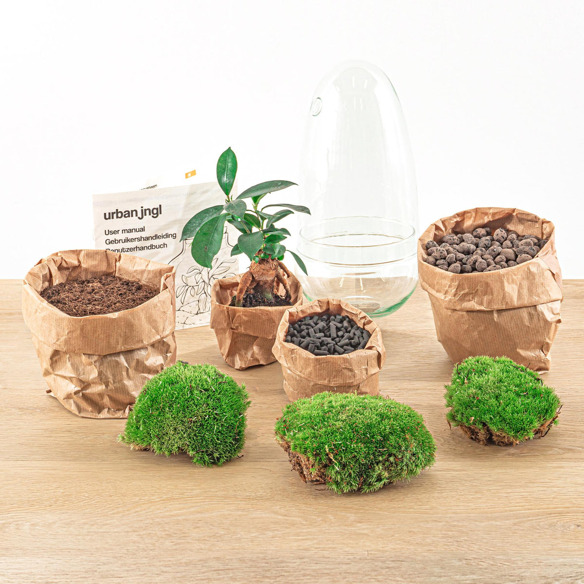 Flaschengarten Egg Bonsai – DIY Terrarium mit Ficus Ginseng – Mini-Biotop – Ø12 cm x H25 cm – Do-it-yourself – Pflegeleichtes Ökosystem für Zuhause & Büro 