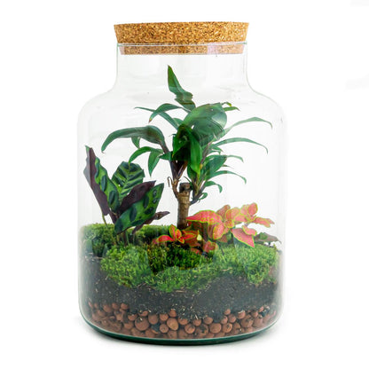 Flaschengarten DIY Bausatz – Terrarium Milky Palme – Ø21cm x 30cm – Selbstbewässerndes Mini-Ökosystem – Inklusive Anleitung – Perfekt für Zuhause & Büro 