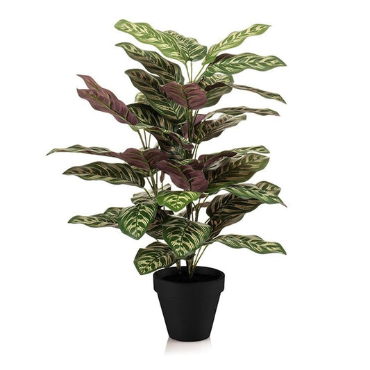 Calathea – Kunstpflanze – 65cm hoch – Ø17cm – Naturgetreue Blätter in Grüntönen – Pflegefrei – Für Wohnzimmer, Büro & Flur 