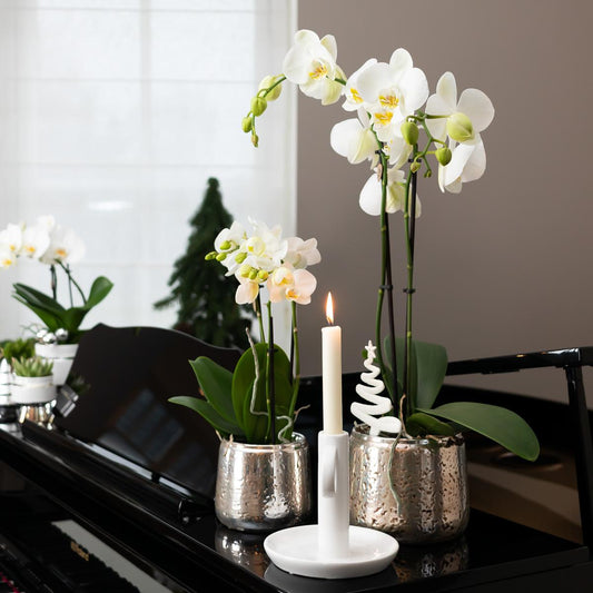 Luxuriöser Blumentopf Silber – Keramik Ziertopf Ø9cm – Eleganter Pflanzkübel für Zimmerpflanzen – Moderner Übertopf mit glänzender Oberfläche 
