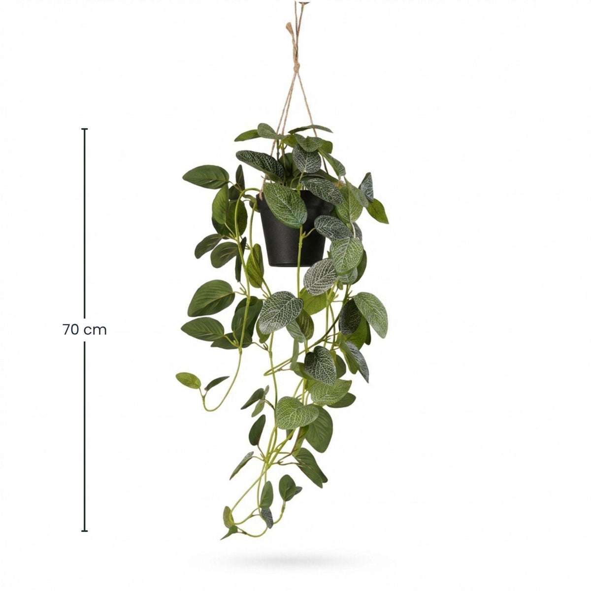 Fittonia - hangplant in pot - 70 cm - Kunstplant 