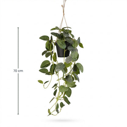 Fittonia - hangplant in pot - 70 cm - Kunstplant 