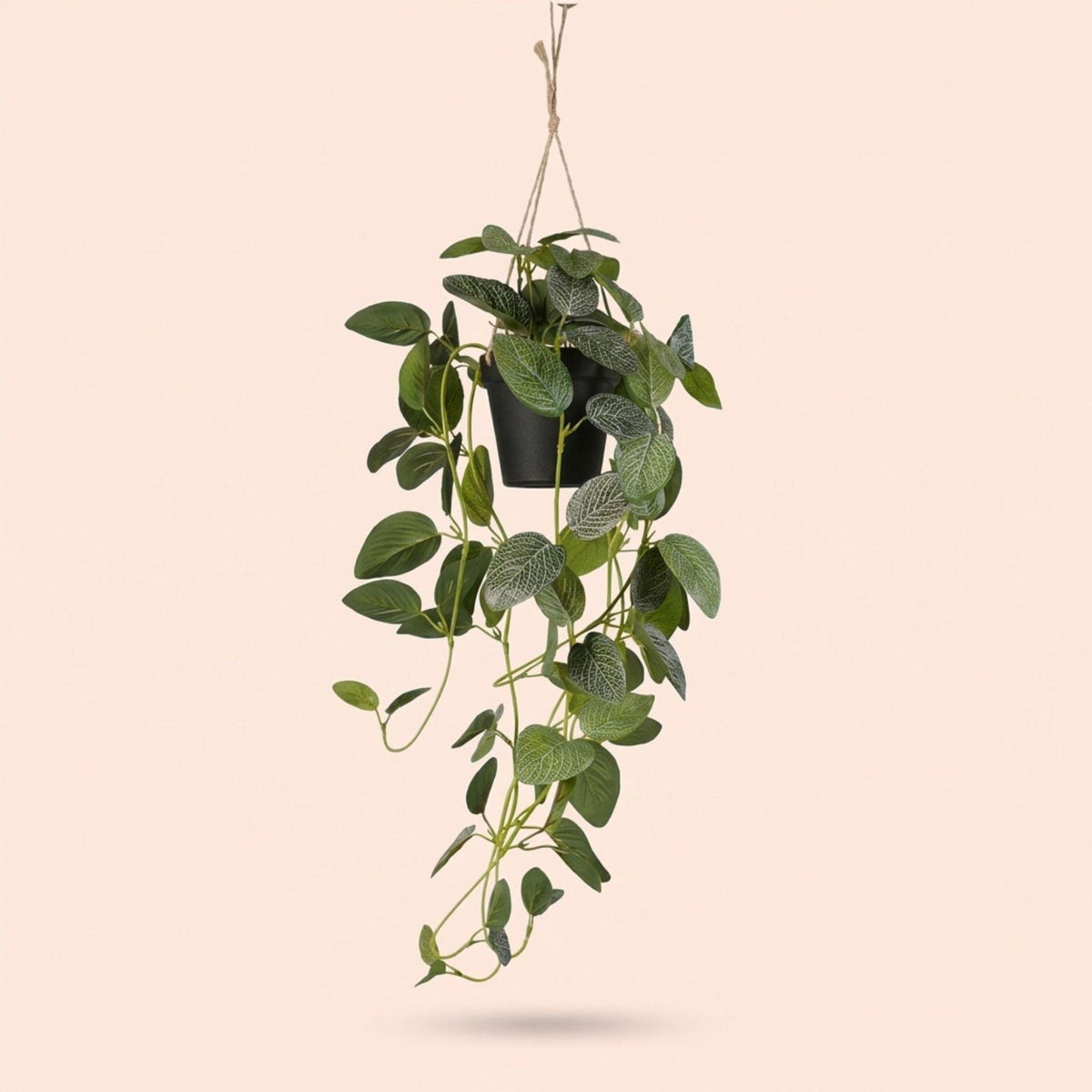 Fittonia - hangplant in pot - 70 cm - Kunstplant 