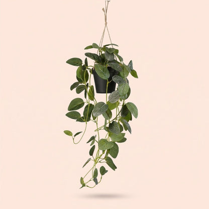 Fittonia - hangplant in pot - 70 cm - Kunstplant 