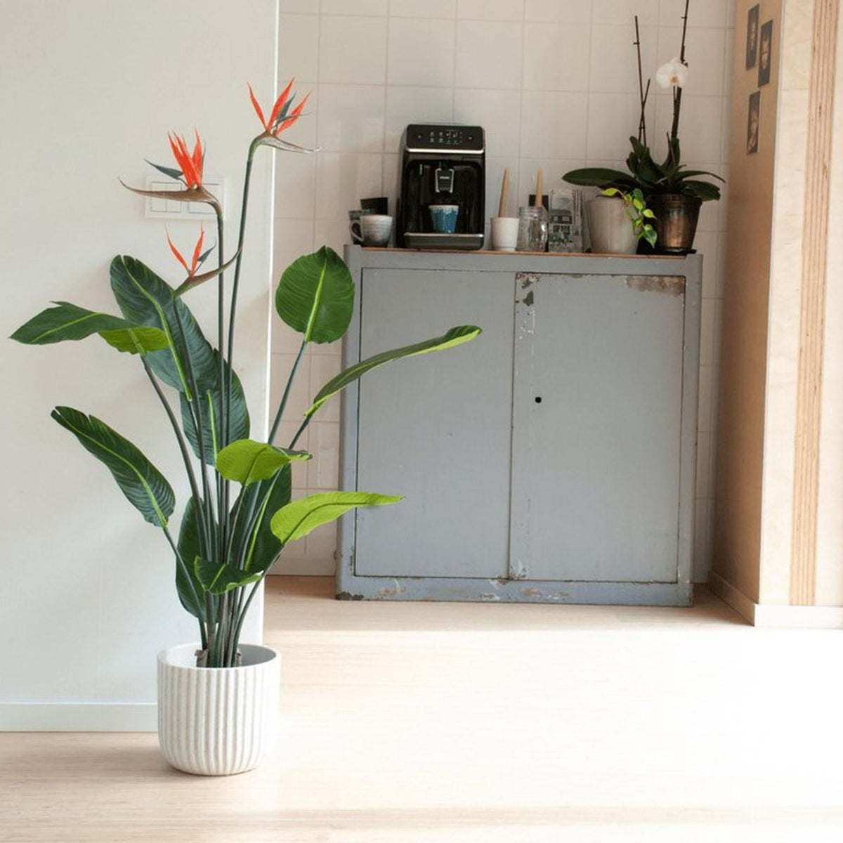 Strelitzia mit Blüten – 120cm – Kunstpflanze im schwarzen Topf – tropischer Blickfang – hochwertige Dekopflanze für Wohnzimmer, Büro & Flur – pflegeleicht 