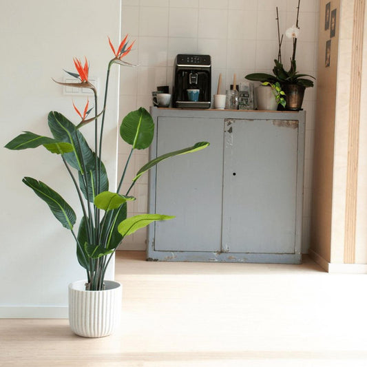Strelitzia mit Blüten – 120cm – Kunstpflanze im schwarzen Topf – tropischer Blickfang – hochwertige Dekopflanze für Wohnzimmer, Büro & Flur – pflegeleicht 