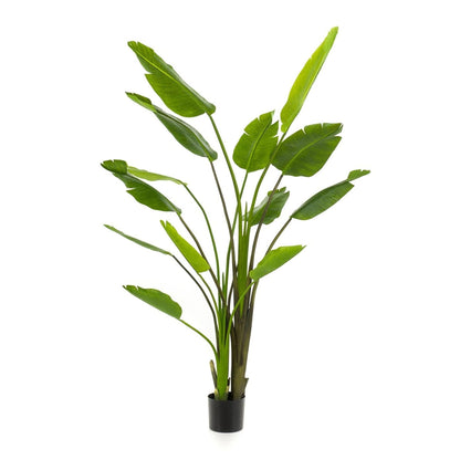 Strelitzia nicolai – 180cm – Kunstpflanze im schwarzen Topf – XXL Deko-Pflanze für Innenbereich – tropische Banane 