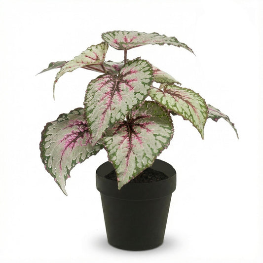 Begonie Kunstpflanze – ca.26cm – UV-beständig – Künstliche Blühpflanze im Topf – Pflegefreie Deko für Innen & Außen Balkon Terrasse & Fensterbank - Oasis of Life