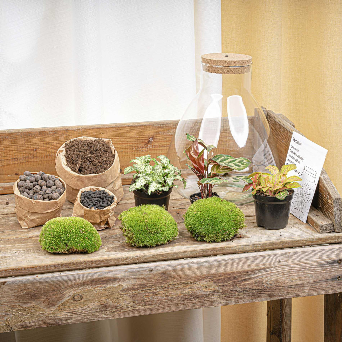 Flaschengarten Sam Calathea mit LED – DIY Bausatz Terrarium – ↕30cm – Do-It-Yourself Pflanzen-Set – Autarkes Mini-Ökosystem – Inkl. Calathea, Fittonia & Moos – Für Zuhause & Büro 