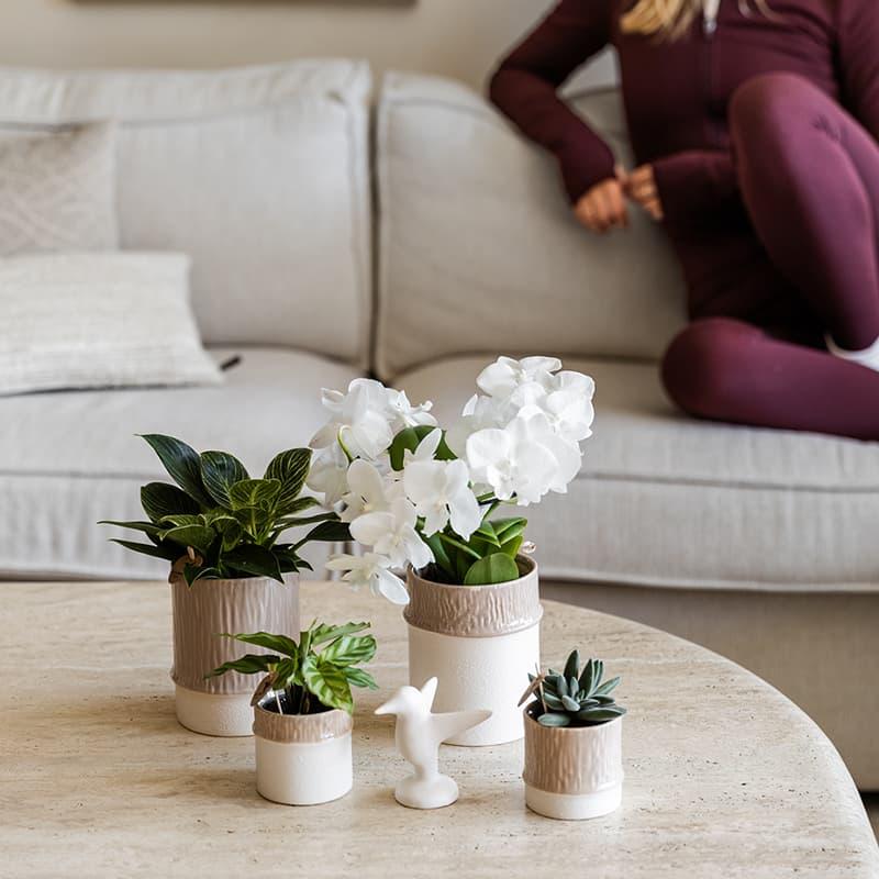 Kolibri Home | Bamboo Übertopf - Sand - Ø9cm 