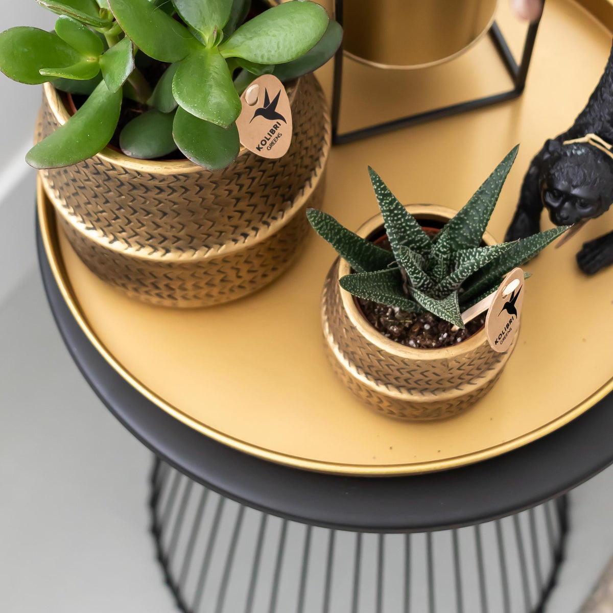 Kolibri Home | Dekorative Tablett - Rundes goldenes Tablett Ø30cm 