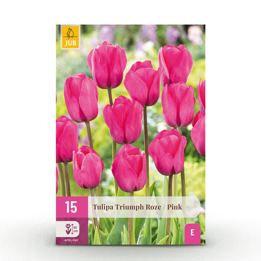GreenboutiQ - Blumenzwiebeln - Tulp Triumph Pink - Farbe Rosa - 15 Stück - Zwiebelgröße 11/12 - XXL Pack 
