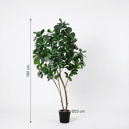 Ficus Lyrata Tree Kunstpflanze 180cm – Große Geigenfeige Deko Baum – Pflegefreie Zimmerpflanze für Wohnzimmer Büro & Empfangsbereich - Oasis of Life