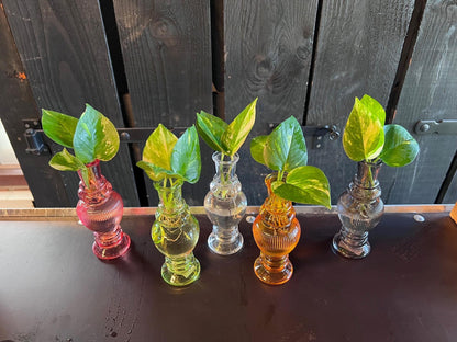 Mix In Venice Glas - Ø7cm - ↕20cm 